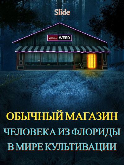 Обычный магазин человека из Флориды в мире культивации
