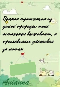 Прямая трансляция из дикой природы: пока остальные выживают, я прославилась ухаживая за котом