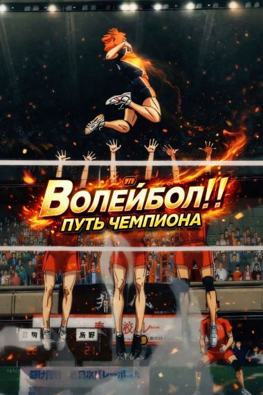 Волейбол!!! Путь Чемпиона (ЗАВЕРШЕН)